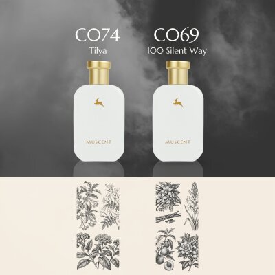 Collector Day/Night Set - 3