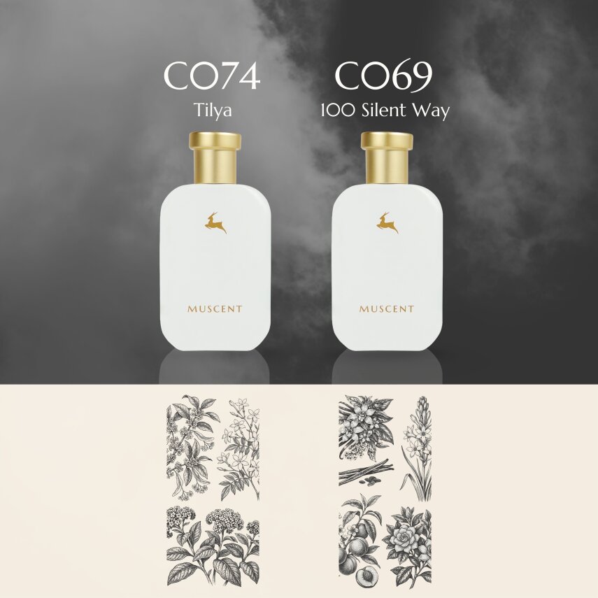 Collector Day/Night Set - 3