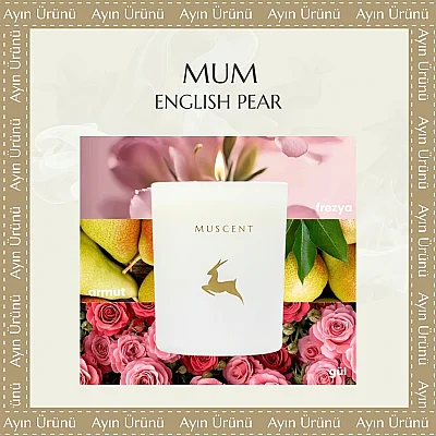 English Pear Freesia Mum 165 gr. - 1