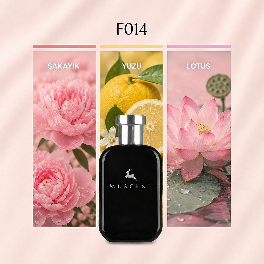F014 B Cristal - 1