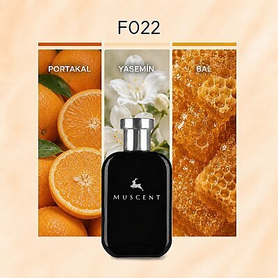 F022 Kod Women - MUSCENT