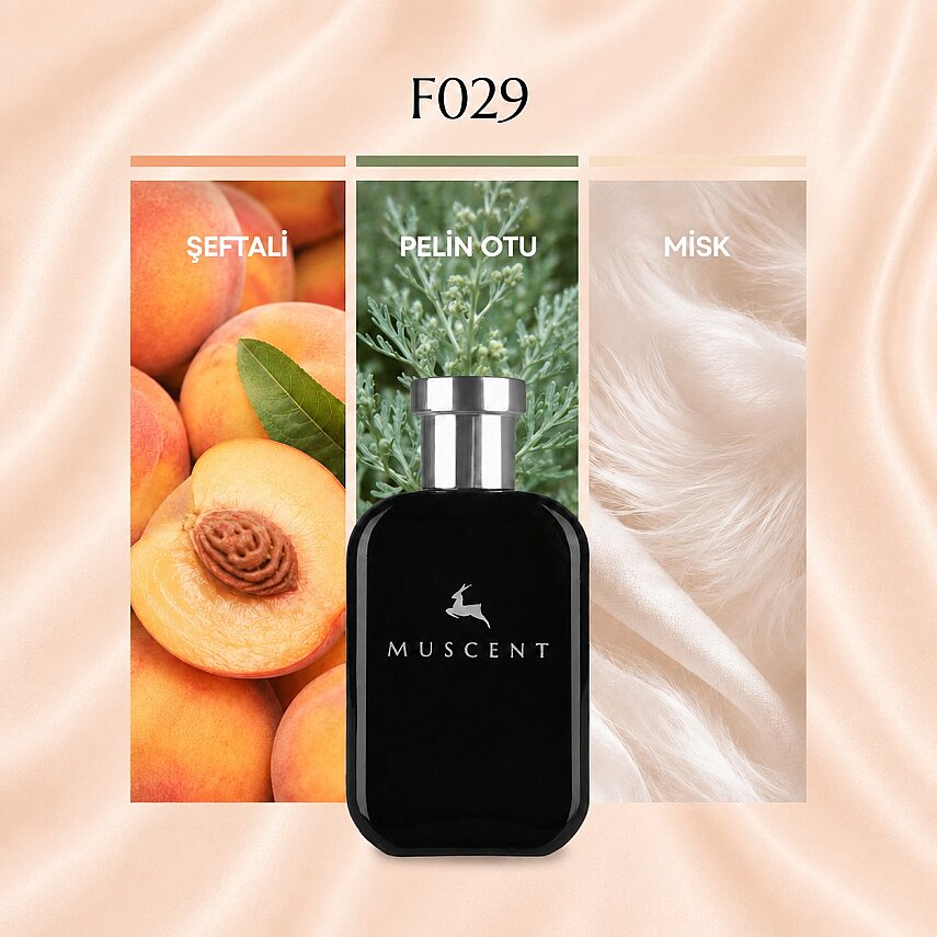F029 BBody - 1