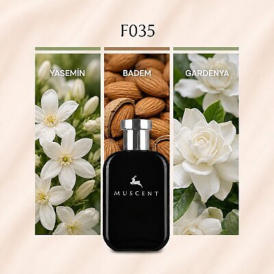 F035 Jas Noir - MUSCENT
