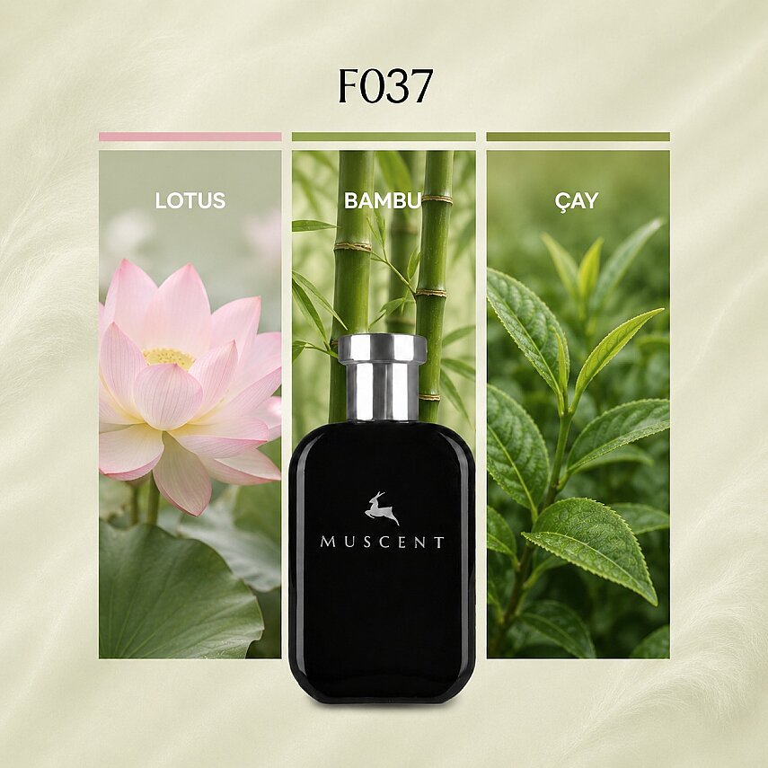 F037 Om Cristalin - 1