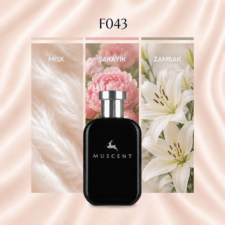 F043 CNova - 1