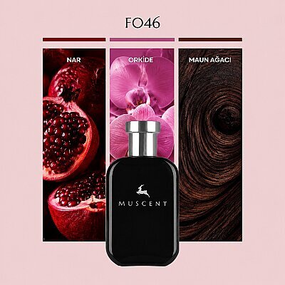 F046 Europia W - MUSCENT
