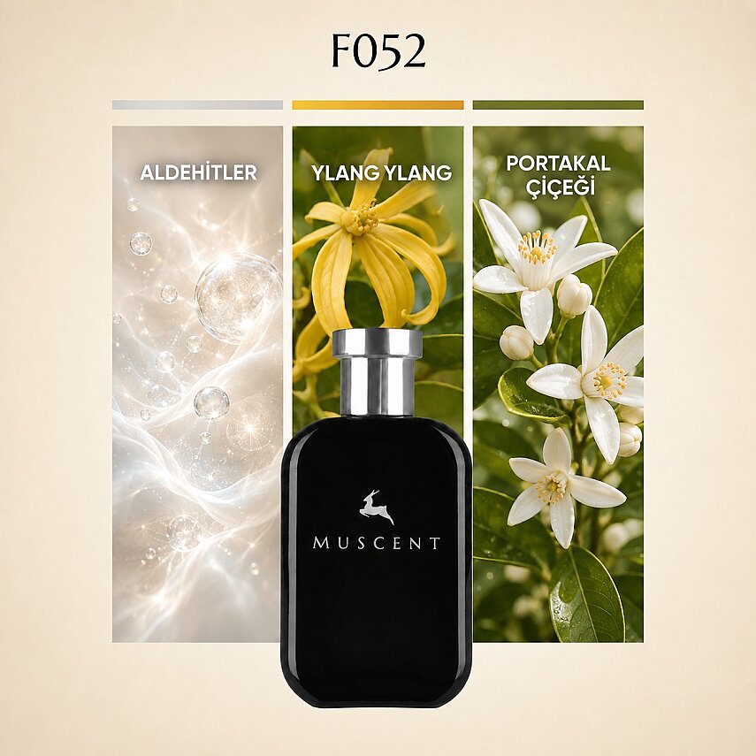 F052 No 5 Prem - 1