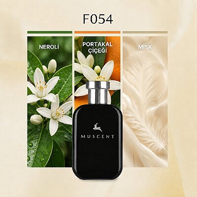 F054 CLStory - MUSCENT