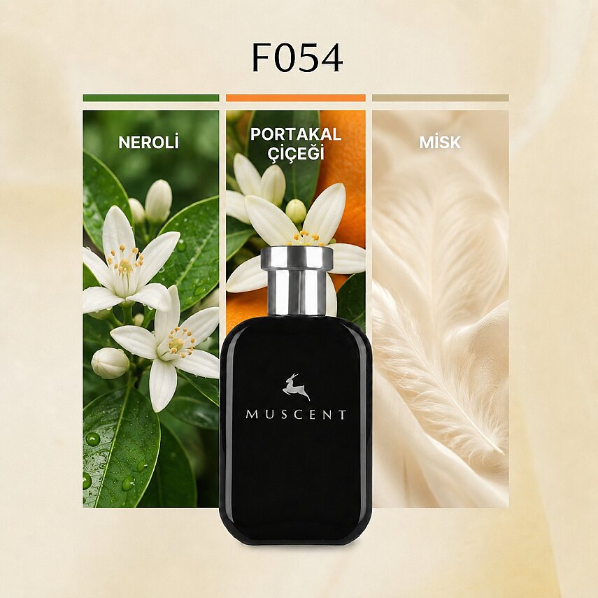 F054 CLStory - 1