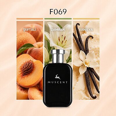 F069 T One W - MUSCENT