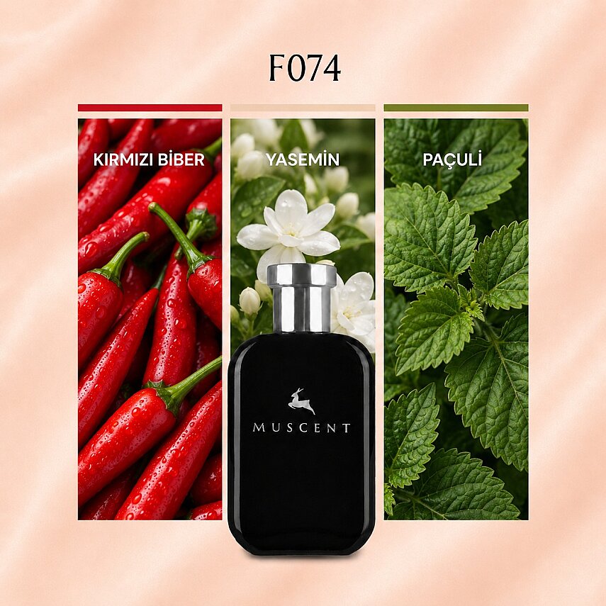 F074 AbsIrresistible - 1