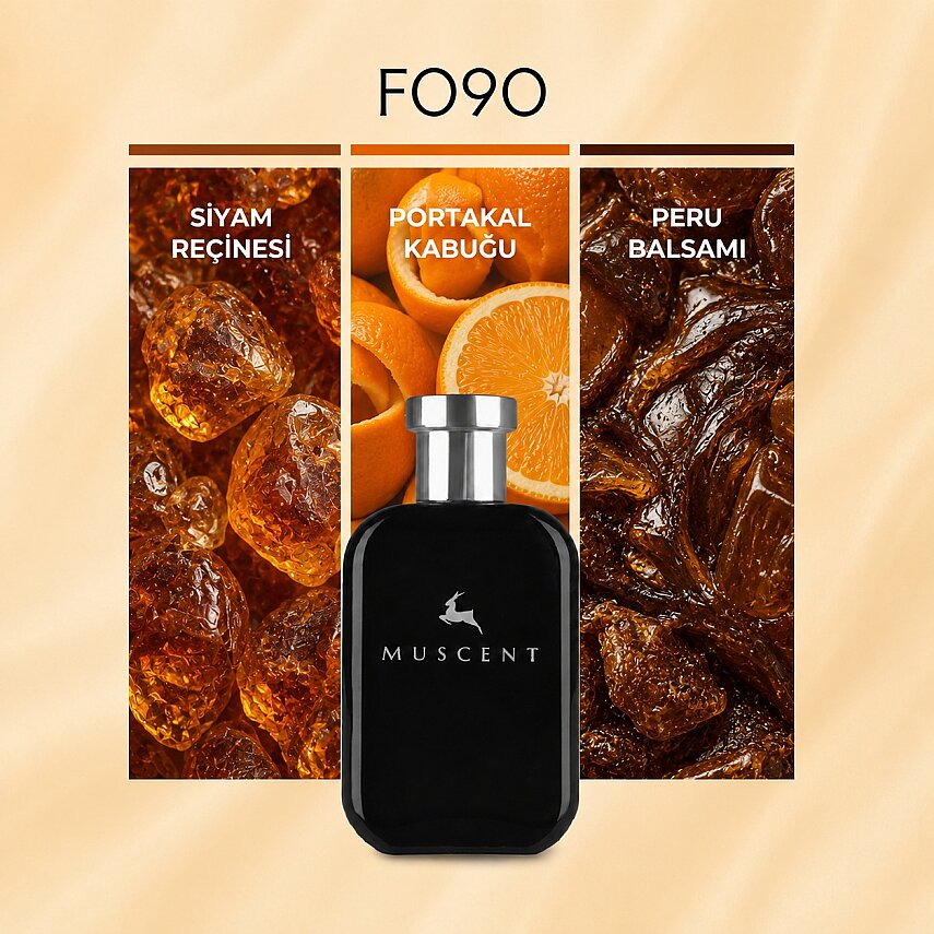 F090 Elixir D Merv - 1