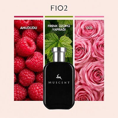F102 T Mid Rose - MUSCENT