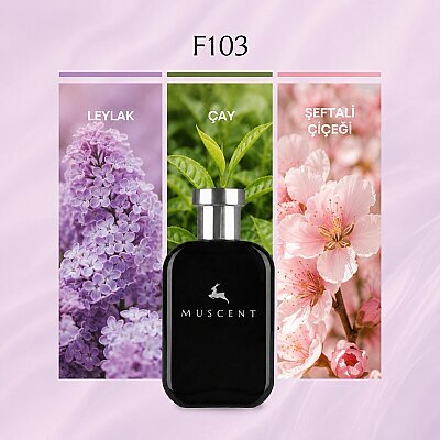 F103 Eclat D Arp - MUSCENT