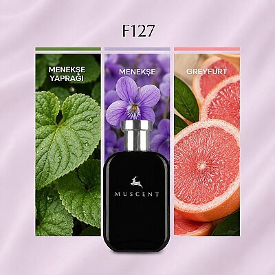 F127 M J Daisy - MUSCENT