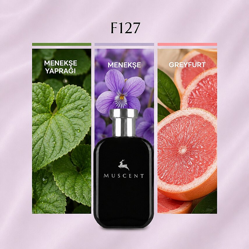 F127 M J Daisy - 1