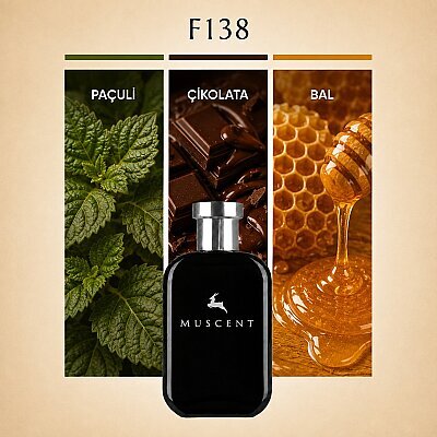 F138 Angl Women - MUSCENT