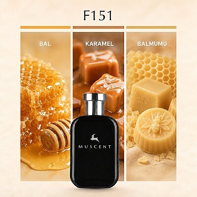 F151 Skandal W - MUSCENT
