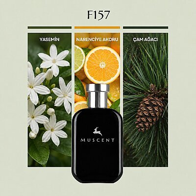 F157 Paradis - MUSCENT
