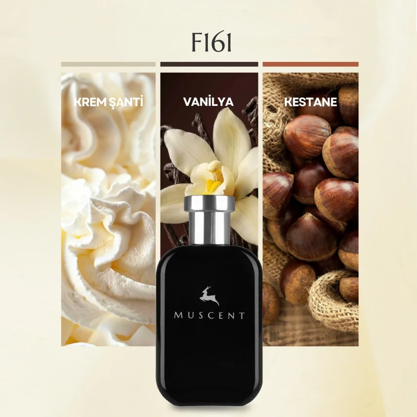 F161 This Is Herr - 2