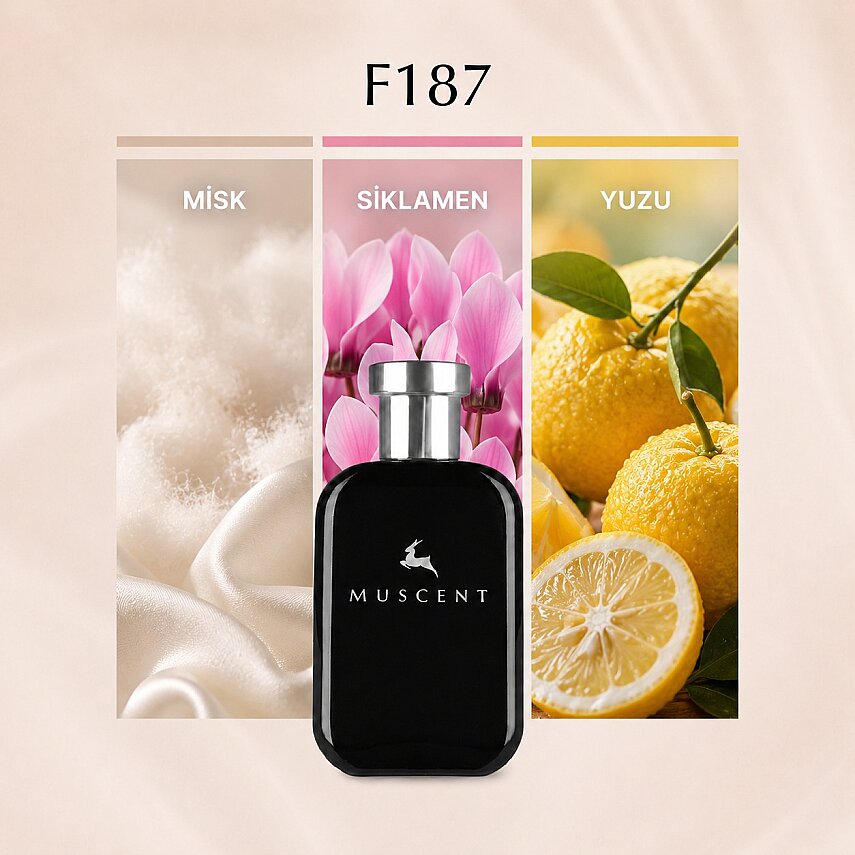 F187 Cheapy Chic - 1