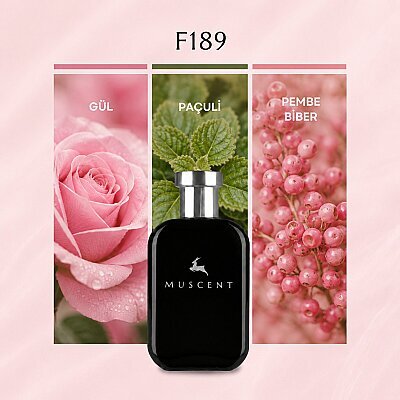 F189 Miss D EDP - MUSCENT