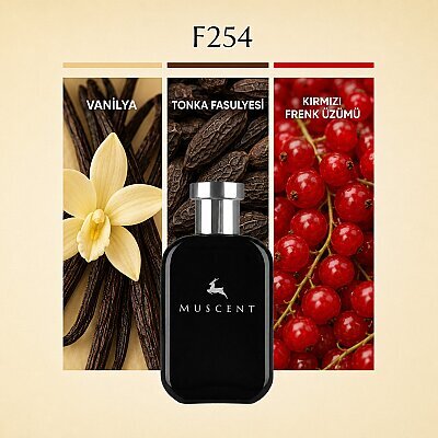 F254 Nuit Ala Folie - MUSCENT