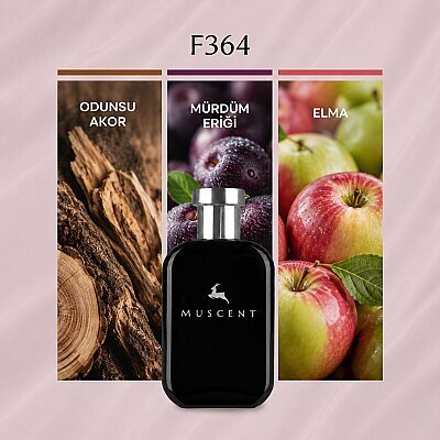 F364 VSexi Night - MUSCENT