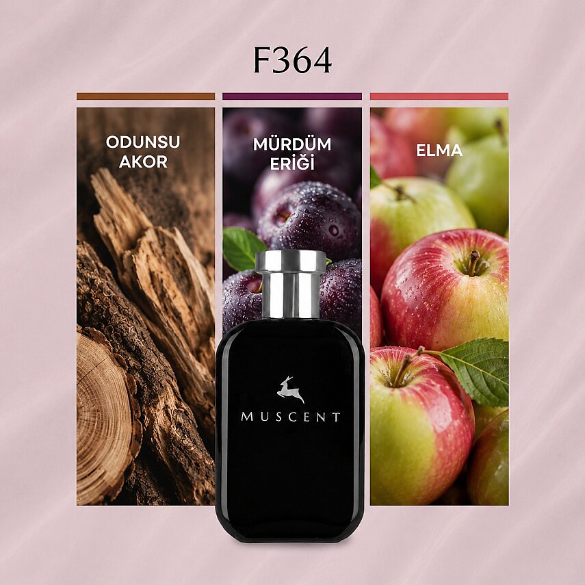 F364 VSexi Night - 1