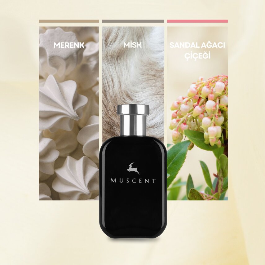 F366 TCrem Cloud - 3