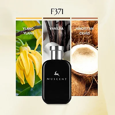 F371 Soleil Cristal - MUSCENT (1)