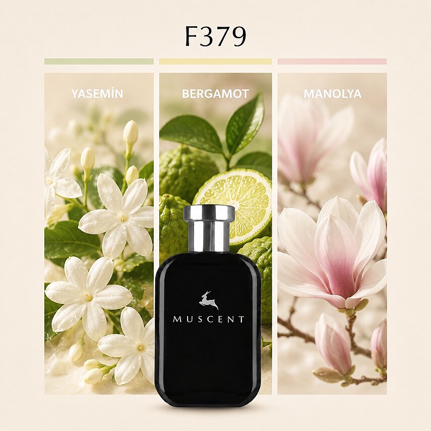 F379 FGJasmine - 1