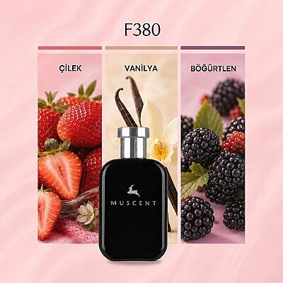 F380 BH Elixir - MUSCENT