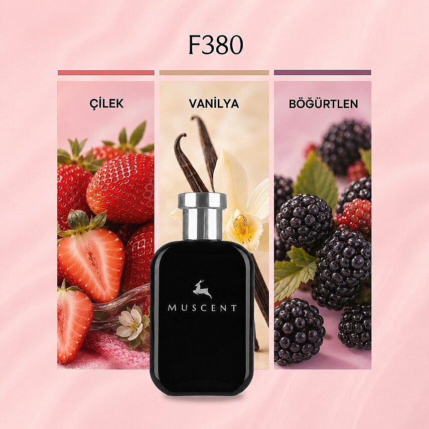 F380 BH Elixir - 1