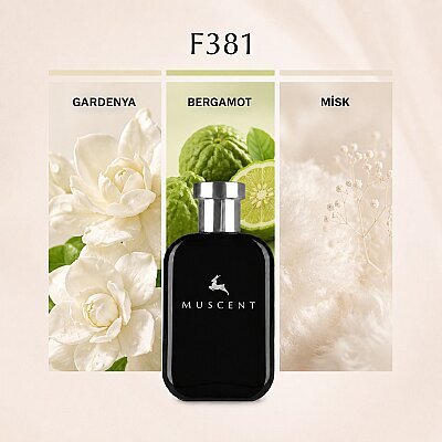 F381 Angl Gold - MUSCENT