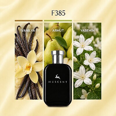 F385 Paradoks Int - MUSCENT