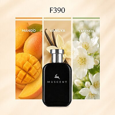 F390 Faame - MUSCENT