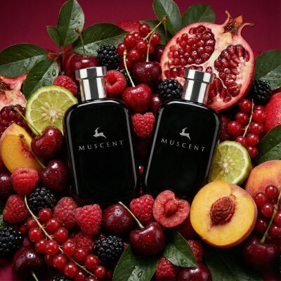 Fruity Set - MUSCENT (1)