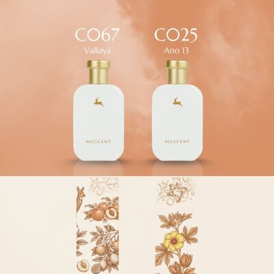 Kadın Layer Set - 3