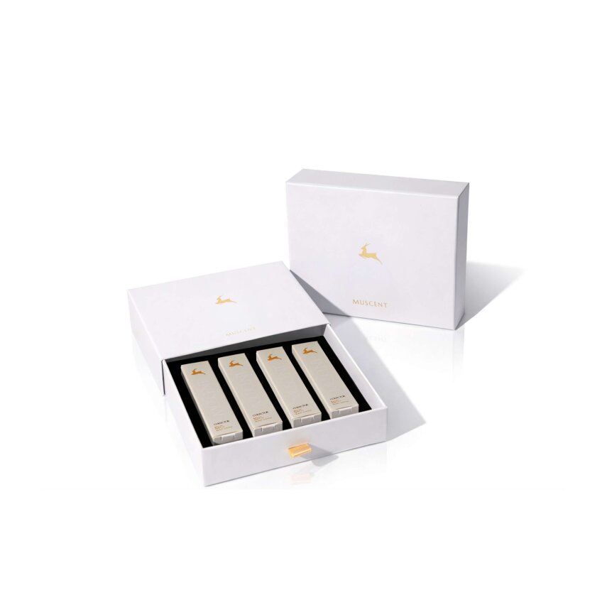 Kışa Özel Collector Kadın Set - 1