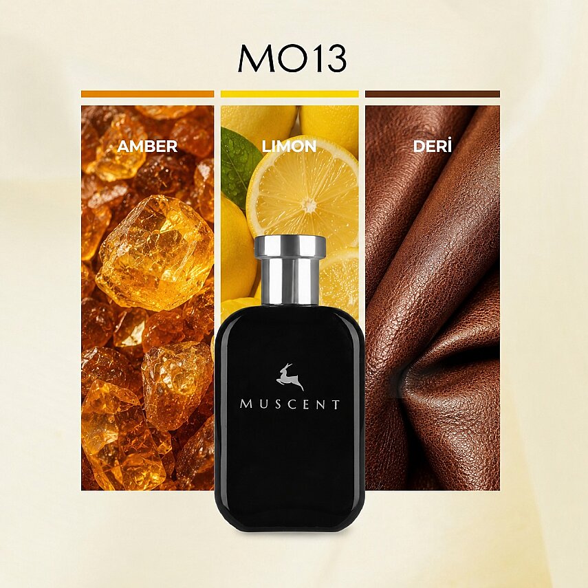 M013 Only Brave - 1