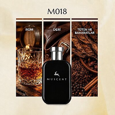 M018 Men Black - MUSCENT
