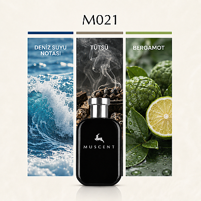 M021 Gio Profumo - MUSCENT