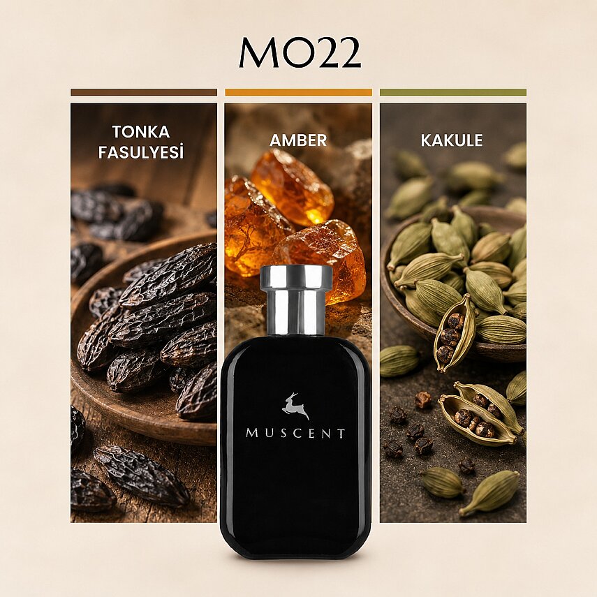 M022 Kod Profumo - 1