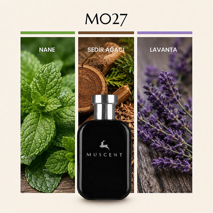 M027 BClassic Men - 1