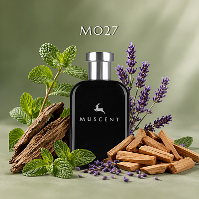 M027 BClassic Men - MUSCENT