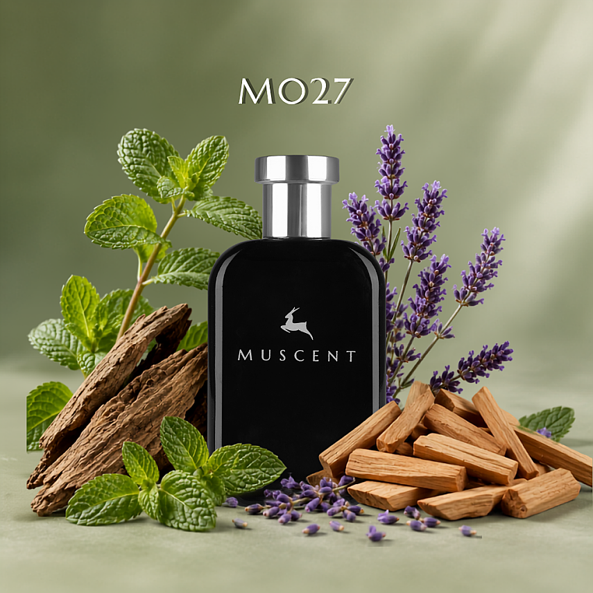 M027 - BClassic Men