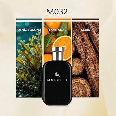 M032 Aqva Homme - MUSCENT
