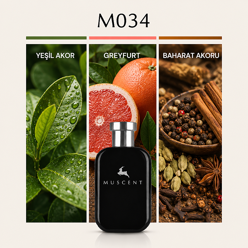 M034 112 Men - 1
