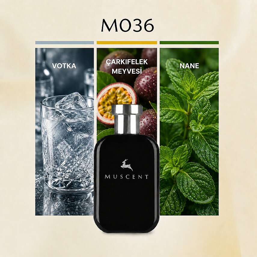 M036 112 Vip Men - 1